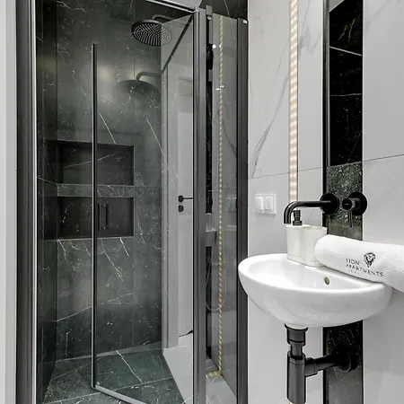 Plac Unii By Lion 公寓